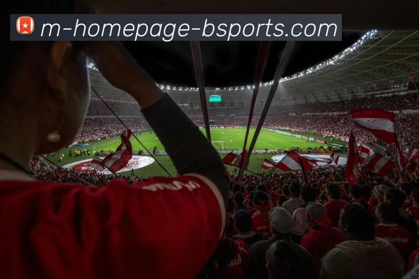 B体育APP 封面图